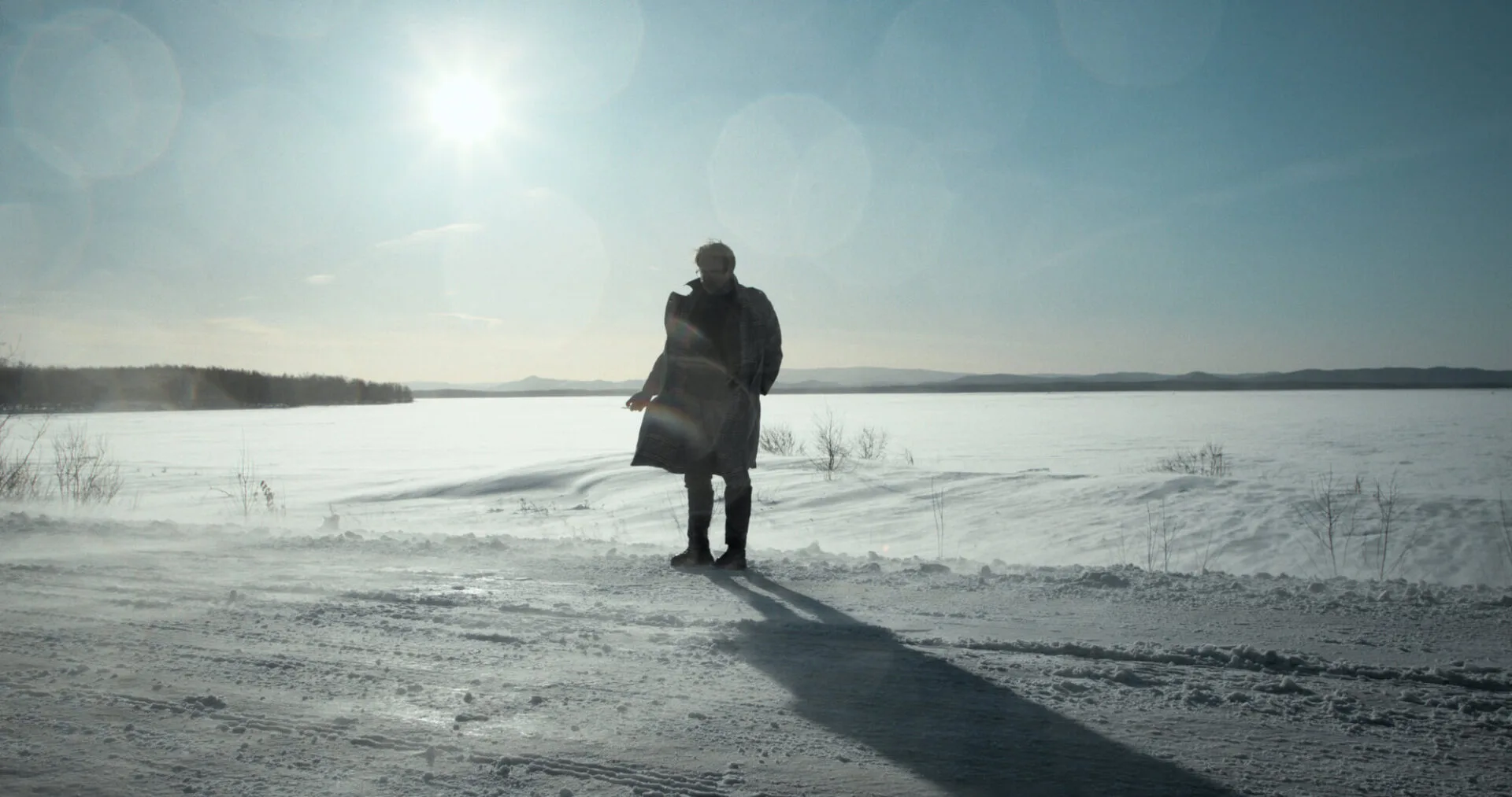 Mr Nobody Against Putin