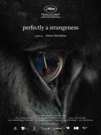 Perfectly A Strangeness Poster Poster