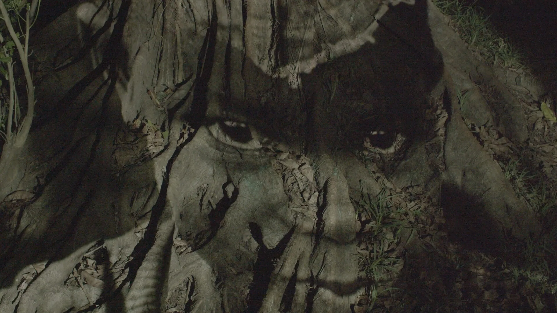 Still from Dreams of a Revolution